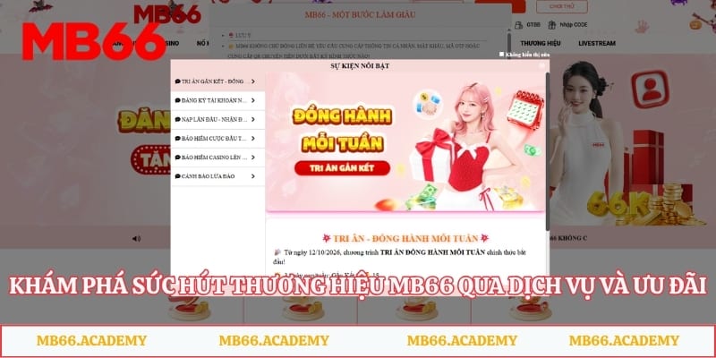 Khám phá sức hút thương hiệu MB66 qua dịch vụ và ưu đãi