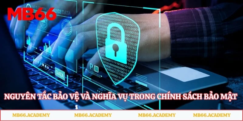 Nguyên tắc bảo vệ và nghĩa vụ trong chính sách bảo mật MB66