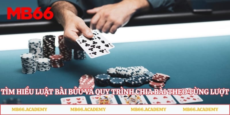 Tìm hiểu luật bài bửu và quy trình chia bài theo từng lượt
